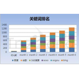 陵县如何防止SEO关键词排名下降
